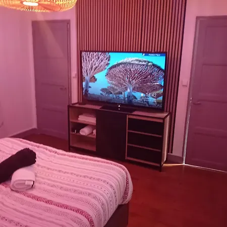 Apartment T2 Cosy Plenitude H24 Wifi Parking Prive Netflix