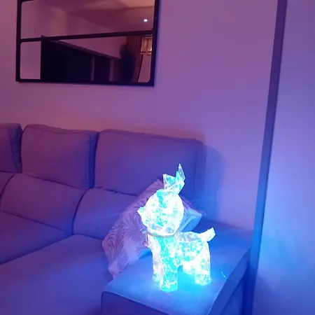 T2 Cosy Plenitude H24 Wifi Parking Prive Netflix Appartement Alençon