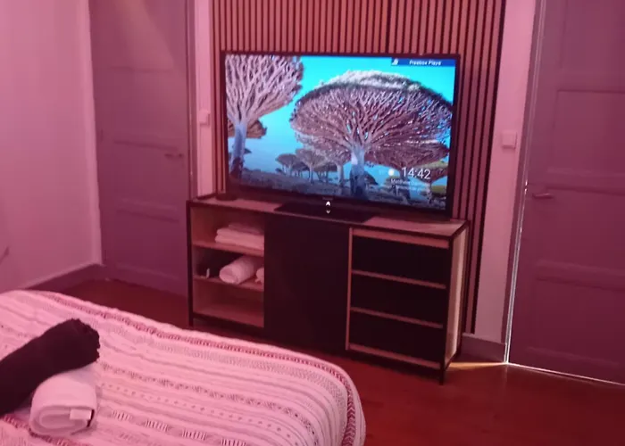 Apartment T2 Cosy Plenitude H24 Wifi Parking Prive Netflix