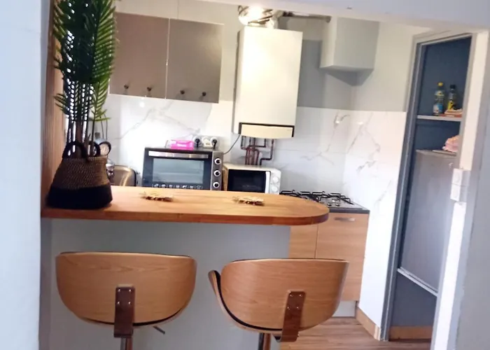 T2 Cosy Plenitude H24 Wifi Parking Prive Netflix Apartment *