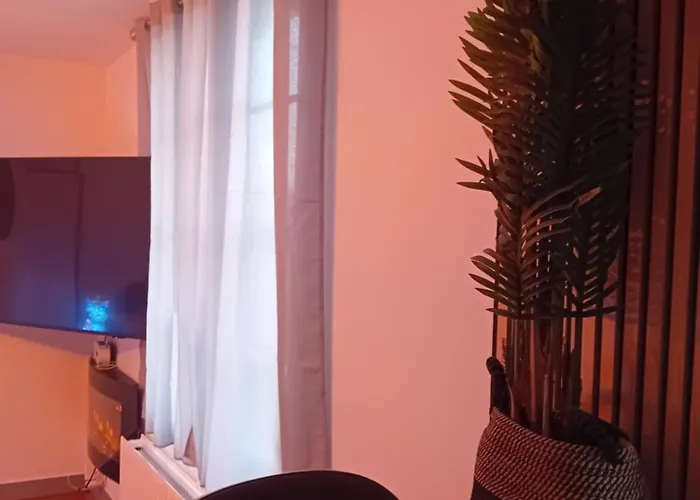 T2 Cosy Plenitude H24 Wifi Parking Prive Netflix